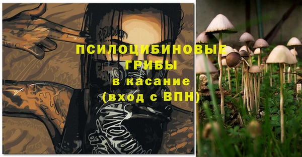 МДПВ Каменск-Шахтинский