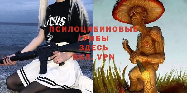 Альфа ПВП Каменногорск