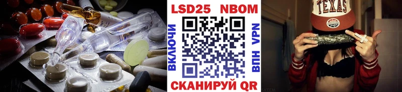 купить наркотики цена  Камешково  KRAKEN как зайти  LSD-25 экстази ecstasy 